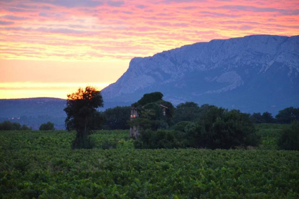 Apartament Vue Sainte Victoire, Proche Aix-En-Provence Pourrieres Zewnętrze zdjęcie